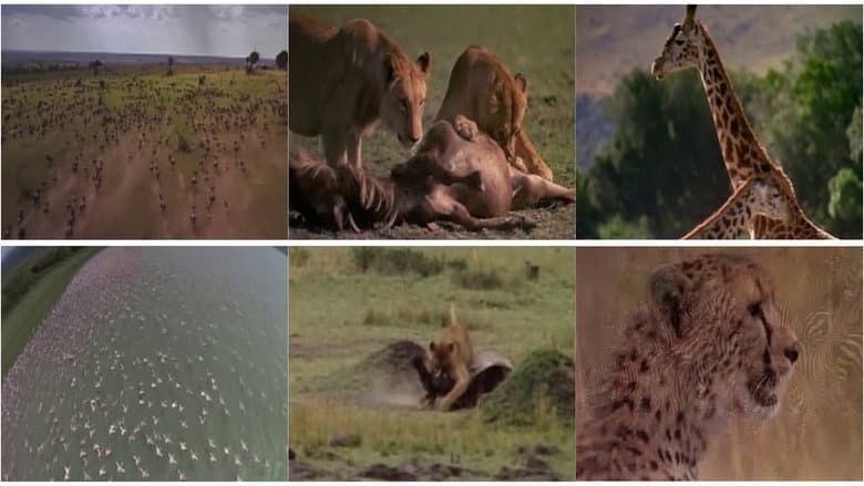 Africa: The Serengeti still