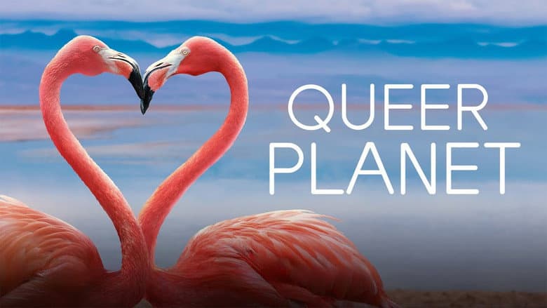 Queer Planet still