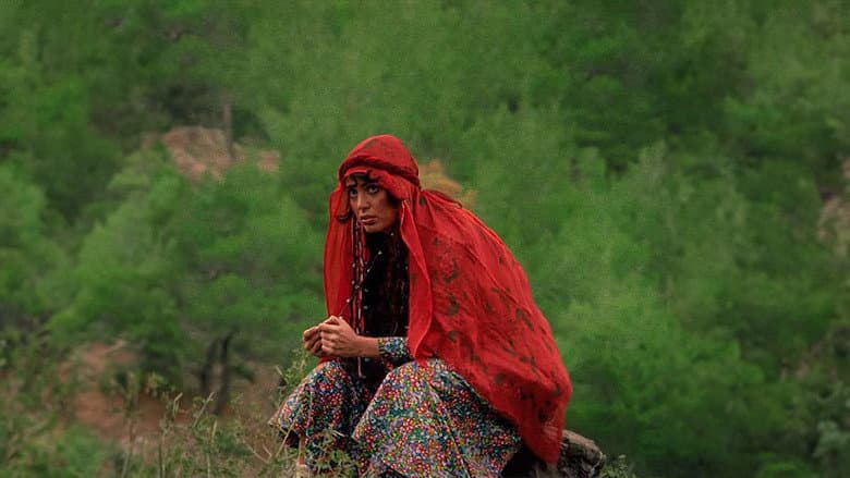 The Girl with the Red Scarf still