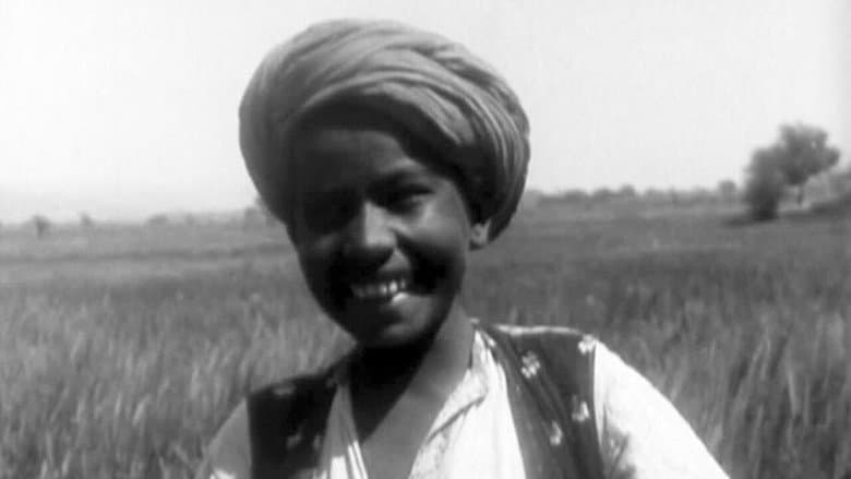 A Punjab Village still