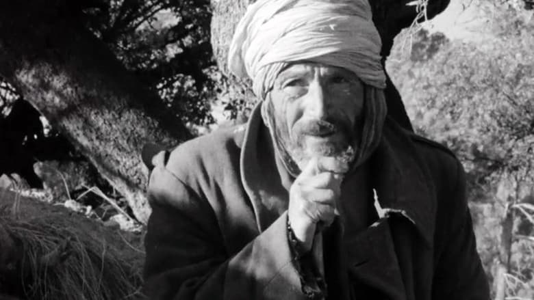 Algeria, Year Zero still