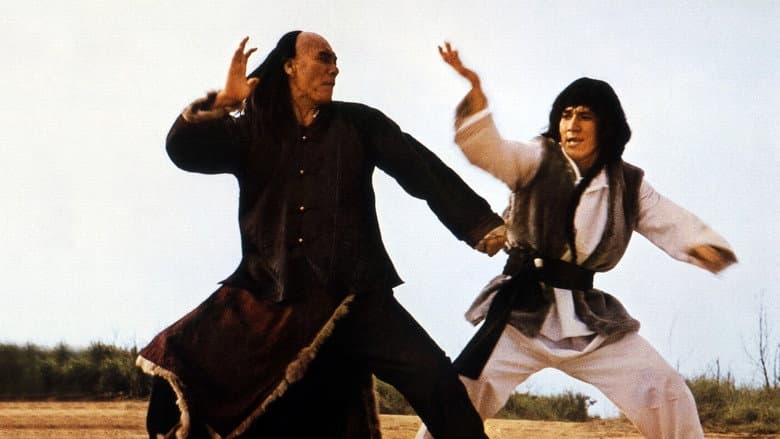 Snake & Crane Arts of Shaolin still