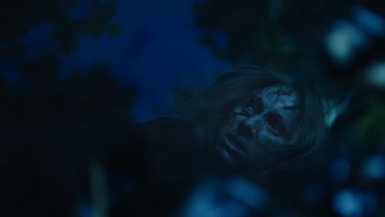 Wilderness still
