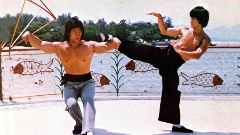The Legend Of Bruce Lee still