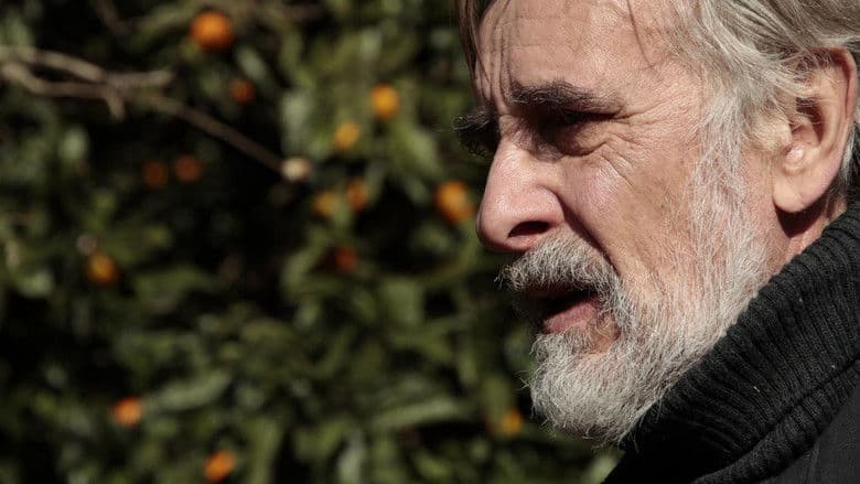 Tangerines still