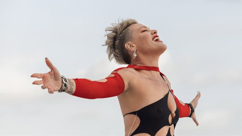 P!NK: Mein Leben in Songs still