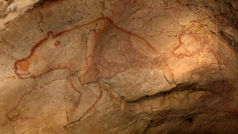 Grotte Chauvet - Dans les pas des artistes de la Préhistoire still