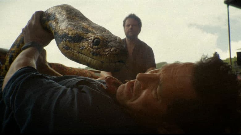 Anaconda still
