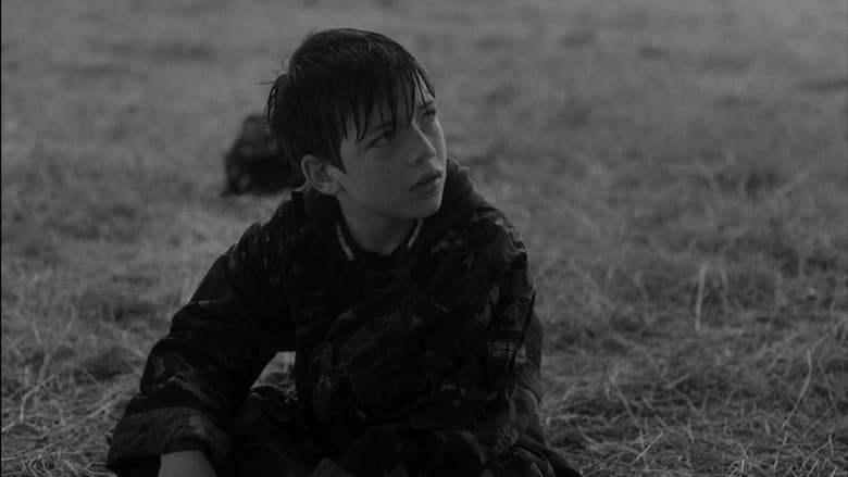 Peregrine still
