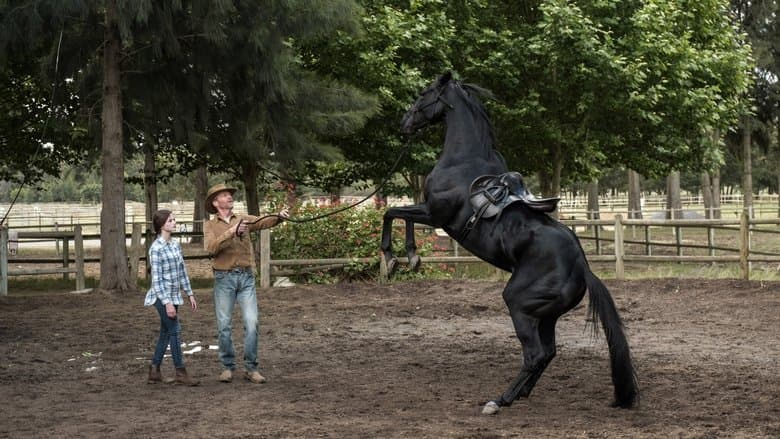 Black Beauty still