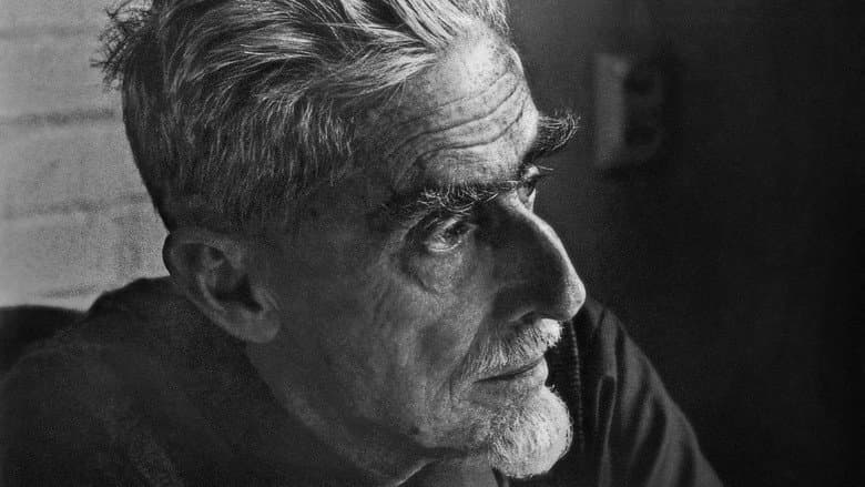 M. C. Escher: Journey to Infinity still