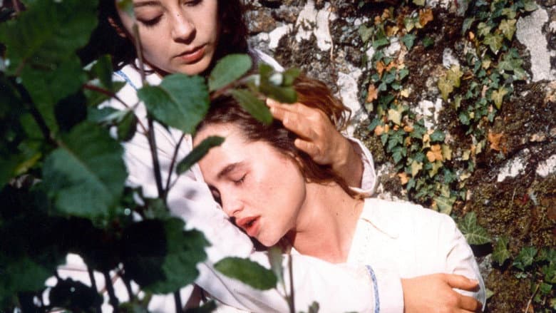 Céline still