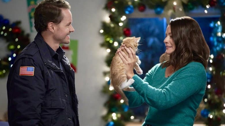 The Nine Kittens of Christmas still