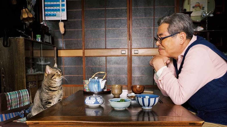 The Island of Cats still