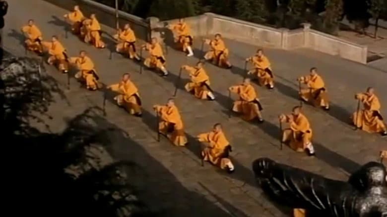 Shaolin Kung Fu still