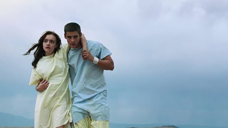 The Signal still