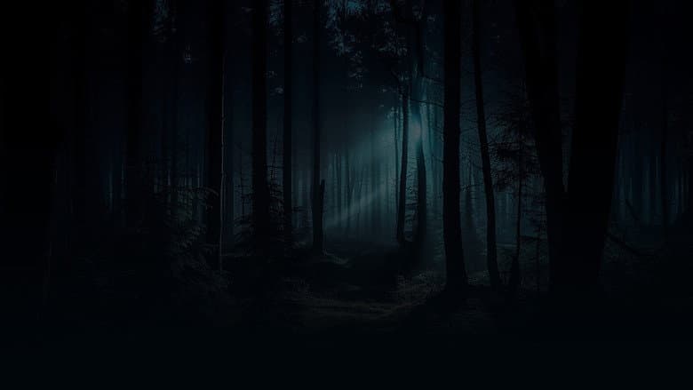 The Haunting Lodge still
