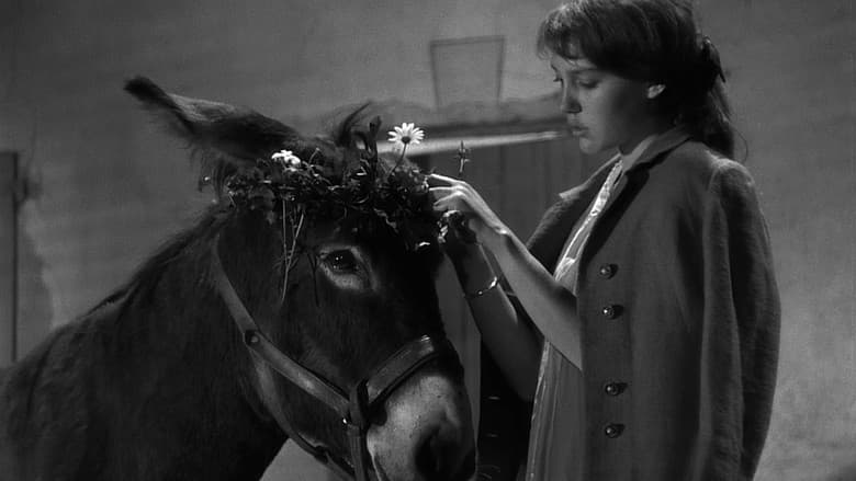 Au Hasard Balthazar still