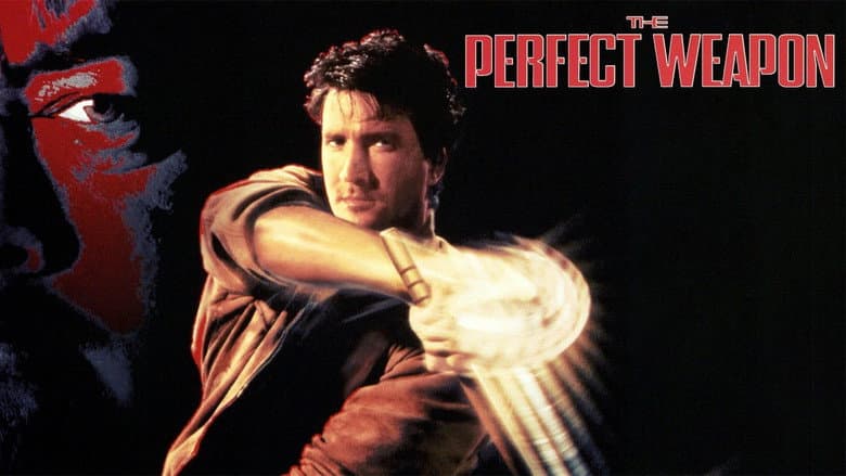 The Perfect Weapon still