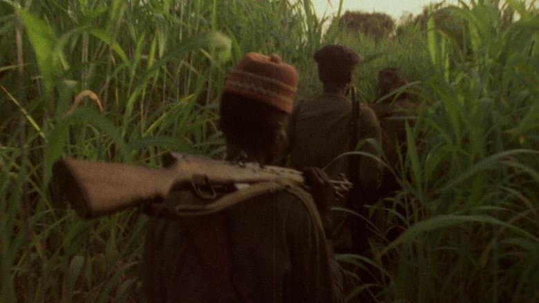 Concerning Violence still