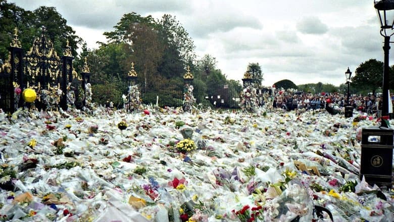 The Last Days of Princess Diana still