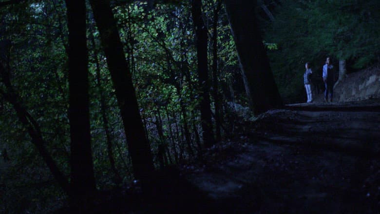 Below the Trees still