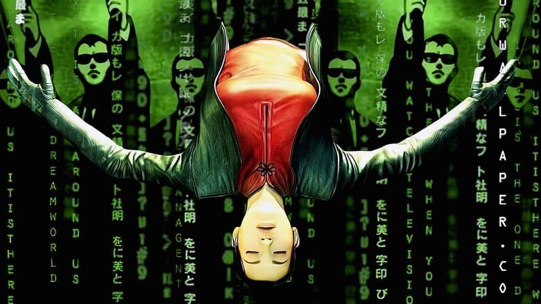 The Animatrix still