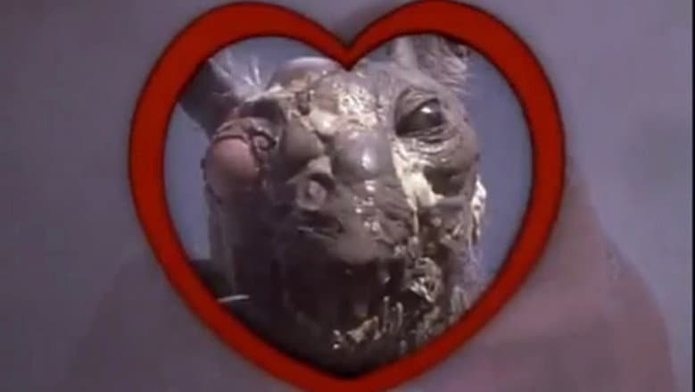 Class of Nuke 'Em High 2: Subhumanoid Meltdown still