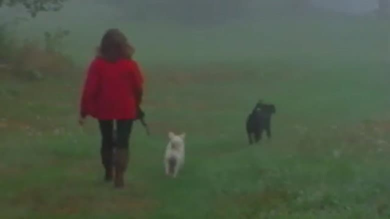 A Video Visit with Lynne Cherry still