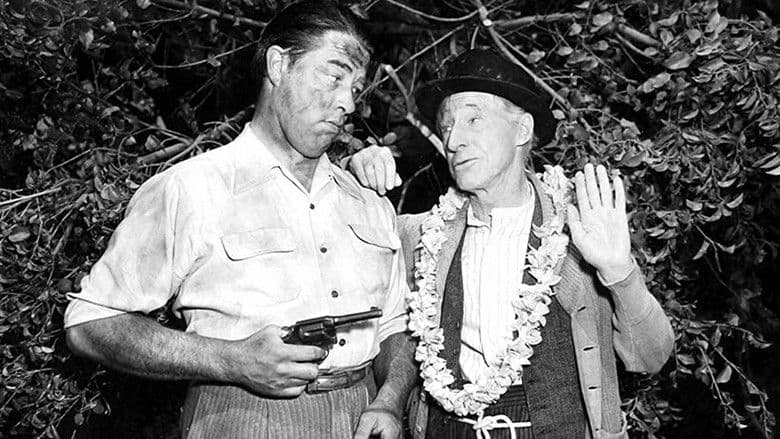Ma and Pa Kettle at Waikiki still