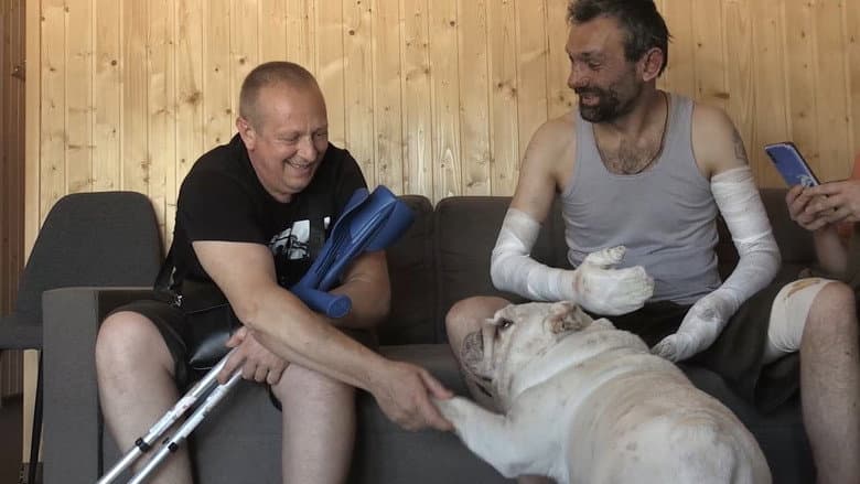 Dogs and War: What I saw in Ukraine still