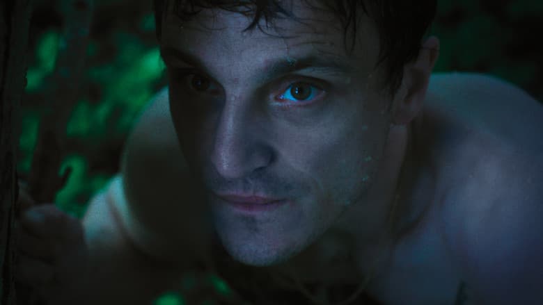 Disco Boy still