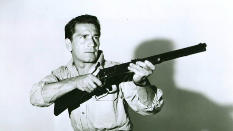 Under the Gun still