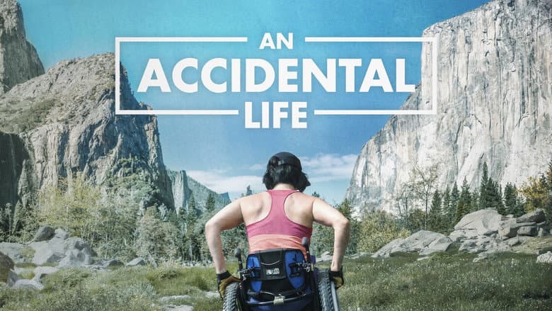 An Accidental Life still