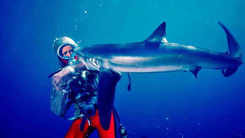 Playing with Sharks still