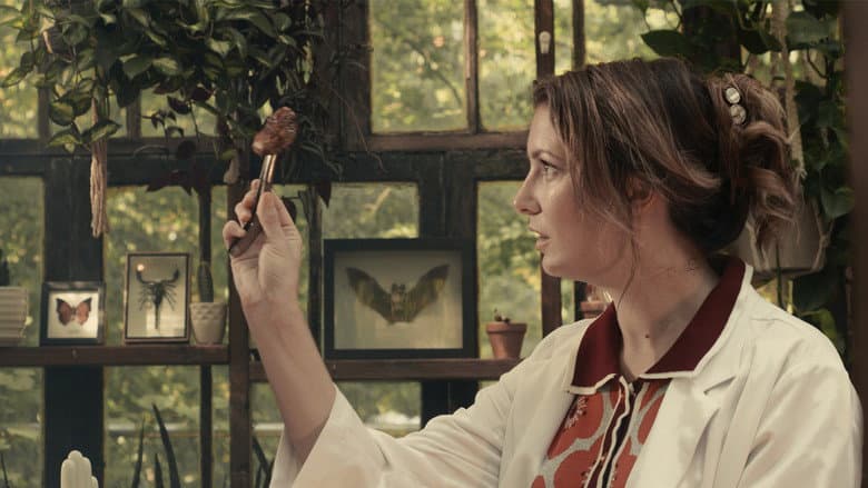 Octopus still