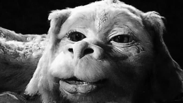 The NeverEnding Story III still