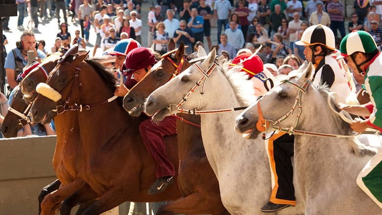 Palio still