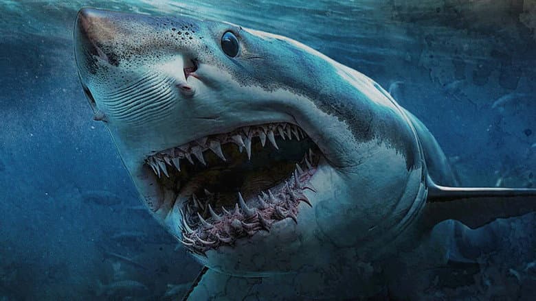 Shark Island still