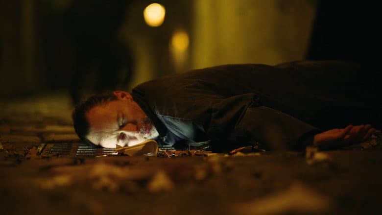 Anima still