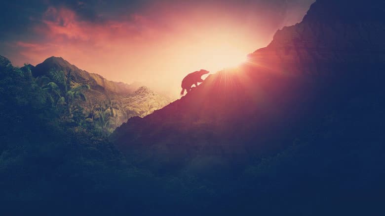 Rise of the Mammals still