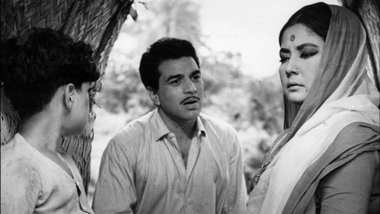 Majhli Didi still