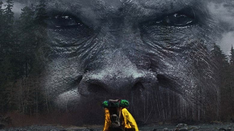 Hunting Bigfoot still