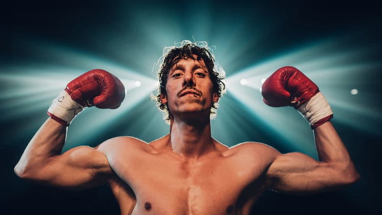 Boxer still