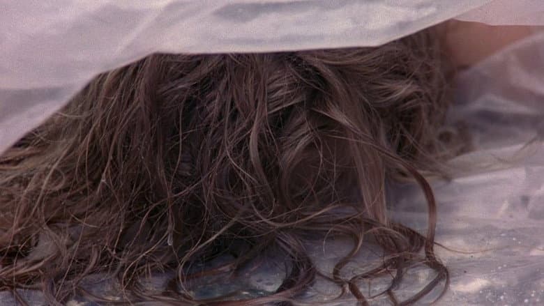 Twin Peaks still