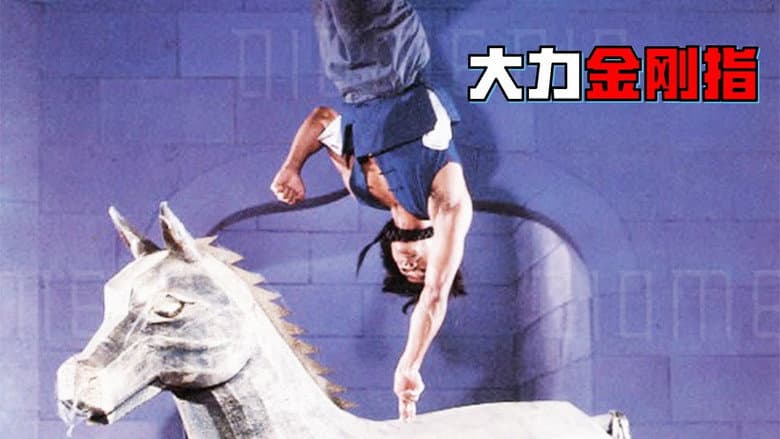 Raiders of the Shaolin Temple still