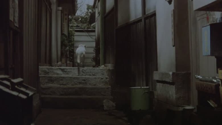 A Geisha's Diary still
