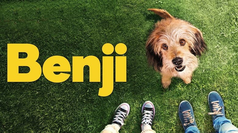 Benji still