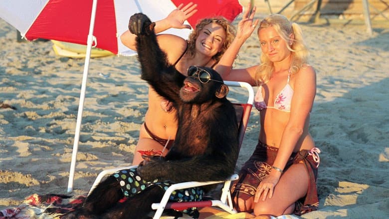 Funky Monkey still
