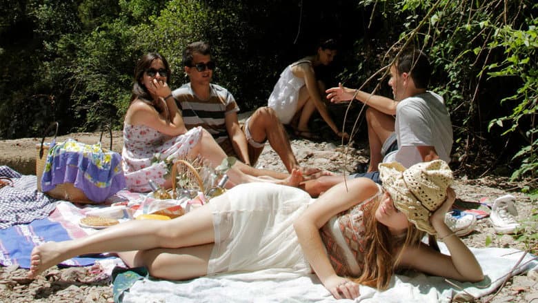 Picnic still